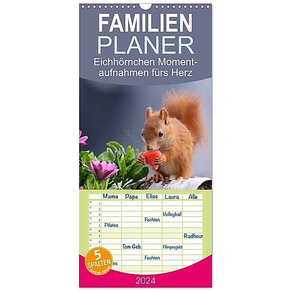 Familienplaner 2024 - Eichhörnchen Momentaufnahmen fürs Herz mit 5 Spalten (Wandkalender, 21 x 45 cm) CALVENDO, Tine Meier