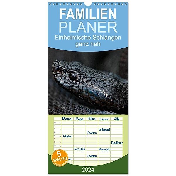Familienplaner 2024 - Einheimische Schlangen ganz nah mit 5 Spalten (Wandkalender, 21 x 45 cm) CALVENDO, Stefan Dummermuth