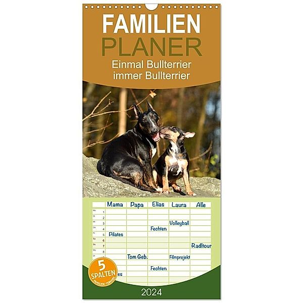 Familienplaner 2024 - Einmal Bullterrier - immer Bullterrier mit 5 Spalten (Wandkalender, 21 x 45 cm) CALVENDO, Yvonne Janetzek