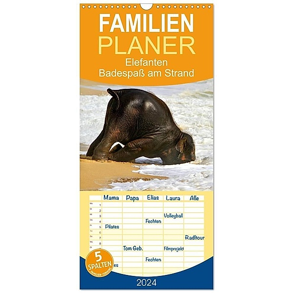 Familienplaner 2024 - Elefanten. Badespaß am Strand mit 5 Spalten (Wandkalender, 21 x 45 cm) CALVENDO, Elisabeth Stanzer