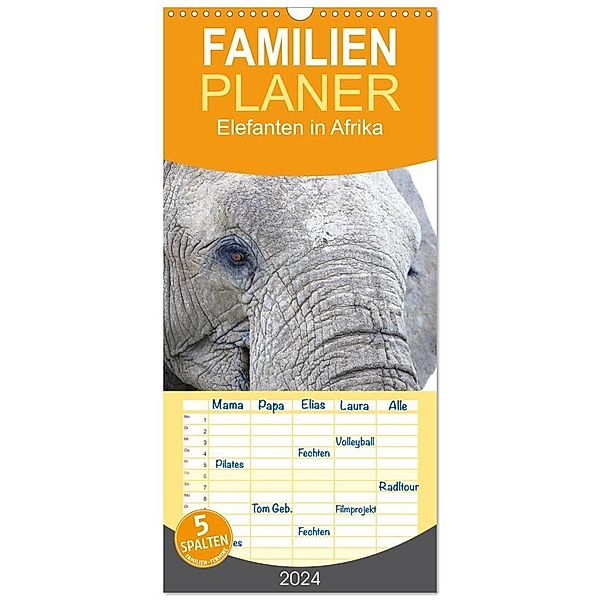 Familienplaner 2024 - Elefanten in Afrika mit 5 Spalten (Wandkalender, 21 x 45 cm) CALVENDO, Michael Herzog