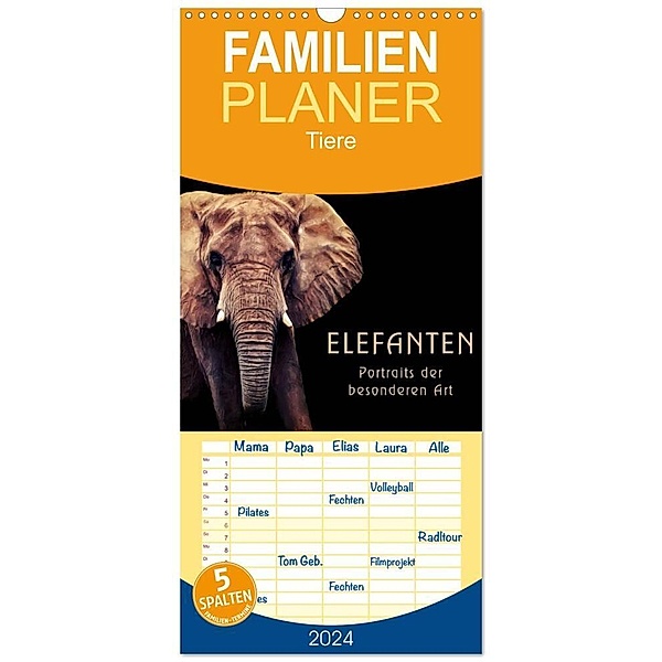 Familienplaner 2024 - Elefanten - Portraits der besonderen Art mit 5 Spalten (Wandkalender, 21 x 45 cm) CALVENDO, AD DESIGN Photo + PhotoArt, Angela Dölling