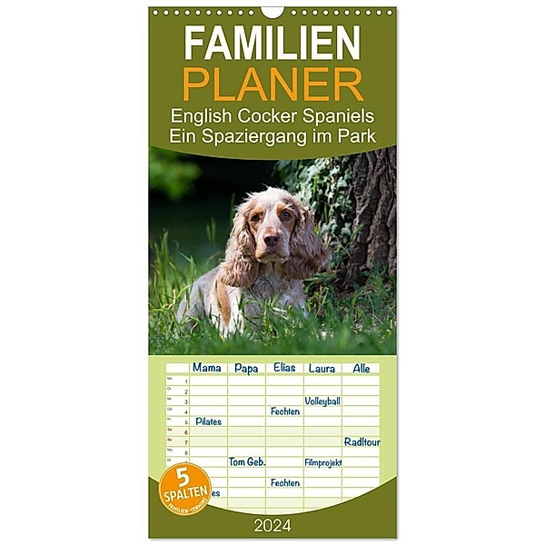 Familienplaner 2024 - English Cocker Spaniels - Ein Spaziergang im Park mit 5 Spalten (Wandkalender, 21 x 45 cm) CALVENDO, Fotodesign Verena Scholze