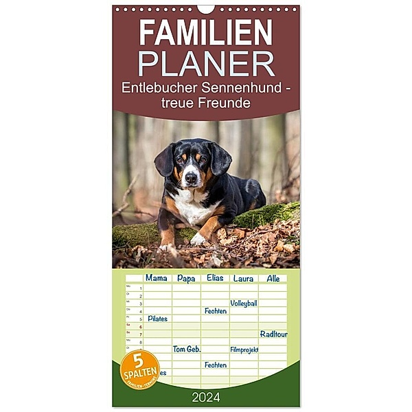 Familienplaner 2024 - Entlebucher Sennenhund - treue Freunde mit 5 Spalten (Wandkalender, 21 x 45 cm) CALVENDO, Schnellewelten