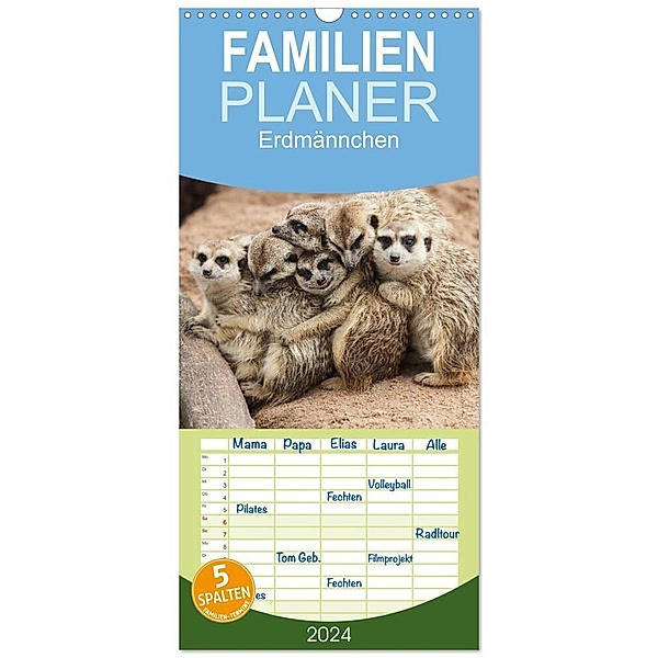 Familienplaner 2024 - Erdmännchen mit 5 Spalten (Wandkalender, 21 x 45 cm) CALVENDO, Elisabeth Stanzer
