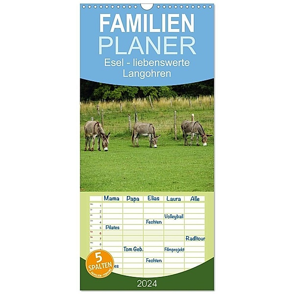 Familienplaner 2024 - Esel - liebenswerte Langohren mit 5 Spalten (Wandkalender, 21 x 45 cm) CALVENDO, Christine Hutterer