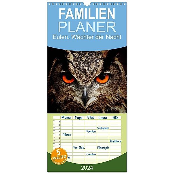 Familienplaner 2024 - Eulen. Wächter der Nacht mit 5 Spalten (Wandkalender, 21 x 45 cm) CALVENDO, Elisabeth Stanzer