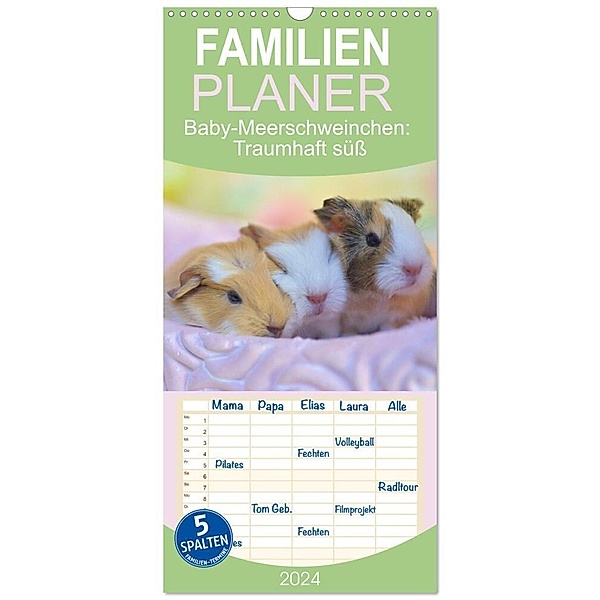 Familienplaner 2024 - Familienplaner BABY Meerschweinchen Traumhaft süss mit 5 Spalten (Wandkalender, 21 x 45 cm) CALVENDO, Sabine Hampe-Neves