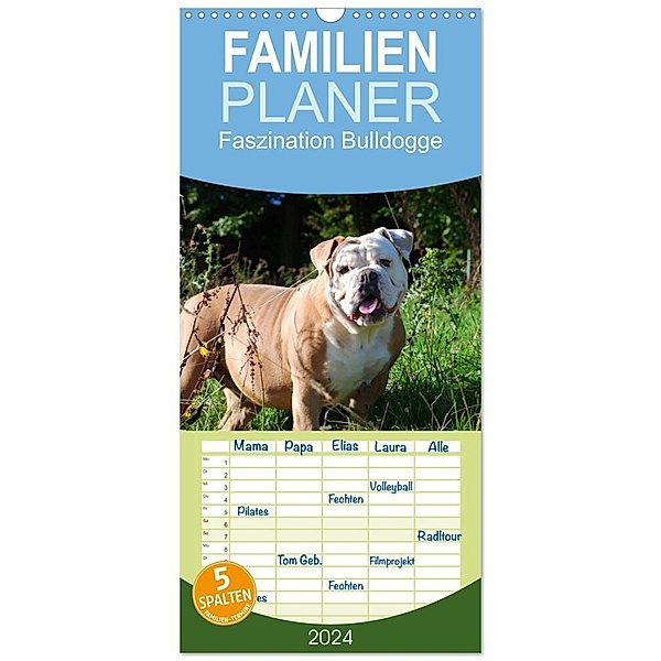 Familienplaner 2024 - Faszination Bulldogge mit 5 Spalten (Wandkalender, 21 x 45 cm) CALVENDO, Elisabeth Stanzer