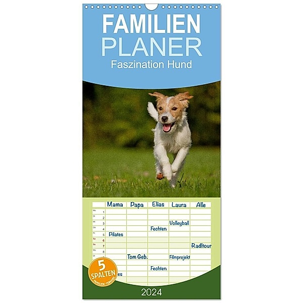 Familienplaner 2024 - Faszination Hund mit 5 Spalten (Wandkalender, 21 x 45 cm) CALVENDO, Tierfotografie Bischof, Melanie Bischof