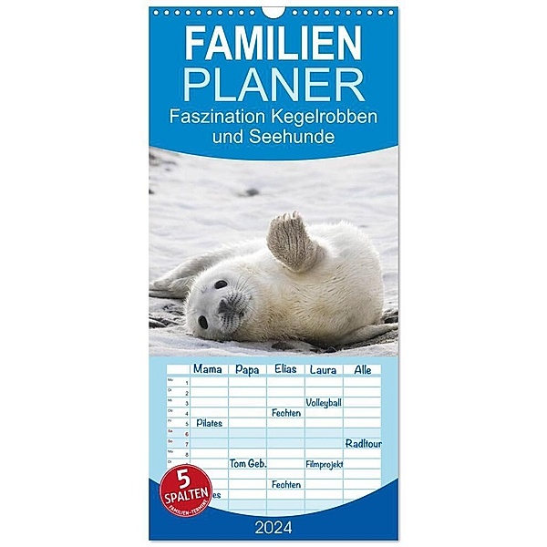 Familienplaner 2024 - Faszination Kegelrobben und Seehunde mit 5 Spalten (Wandkalender, 21 x 45 cm) CALVENDO, Armin Maywald