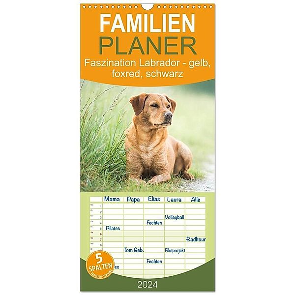 Familienplaner 2024 - Faszination Labrador - gelb, foxred, schwarz mit 5 Spalten (Wandkalender, 21 x 45 cm) CALVENDO, Cornelia Strunz