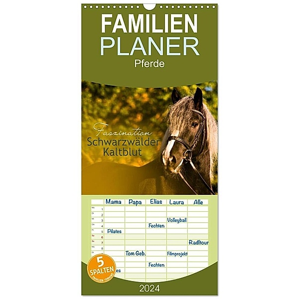 Familienplaner 2024 - Faszination Schwarzwälder Kaltblut mit 5 Spalten (Wandkalender, 21 x 45 cm) CALVENDO, HomSi-Fotos