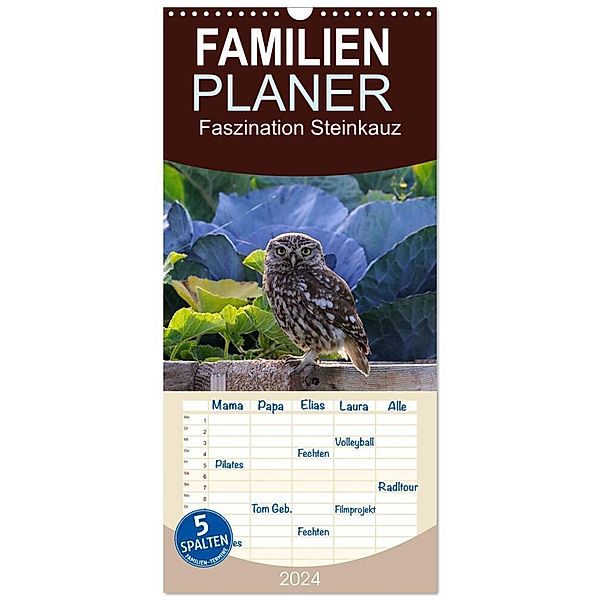 Familienplaner 2024 - Faszination Steinkauz mit 5 Spalten (Wandkalender, 21 x 45 cm) CALVENDO, Wolfgang Lequen