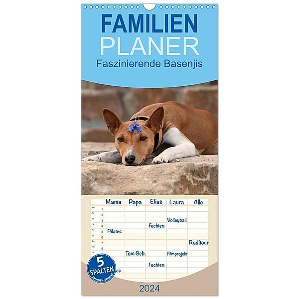 Familienplaner 2024 - Faszinierende Basenjis mit 5 Spalten (Wandkalender, 21 x 45 cm) CALVENDO, Angelika Joswig