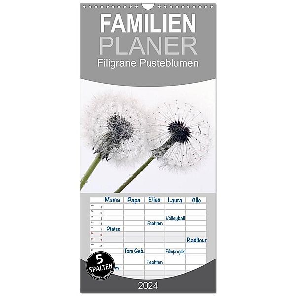 Familienplaner 2024 - Filigrane Pusteblumen / Geburtstagskalender mit 5 Spalten (Wandkalender, 21 x 45 cm) CALVENDO, Schnellewelten