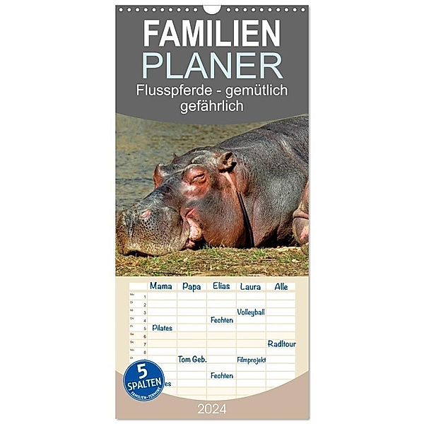 Familienplaner 2024 - Flusspferde - gemütlich gefährlich mit 5 Spalten (Wandkalender, 21 x 45 cm) CALVENDO, Peter Roder