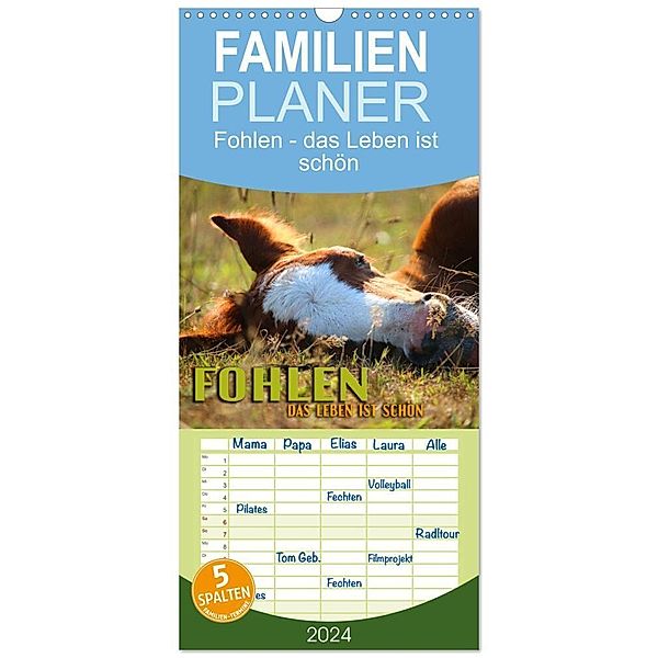 Familienplaner 2024 - Fohlen - das Leben ist schön mit 5 Spalten (Wandkalender, 21 x 45 cm) CALVENDO, Renate Utz