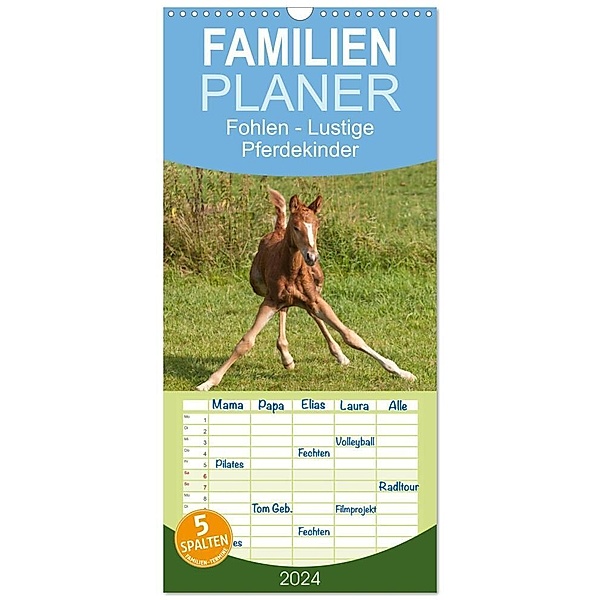 Familienplaner 2024 - Fohlen - Lustige Pferdekinder mit 5 Spalten (Wandkalender, 21 x 45 cm) CALVENDO, Meike Bölts