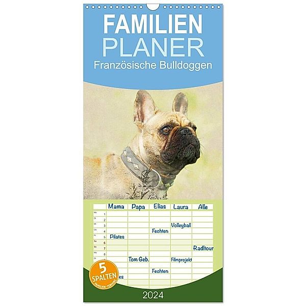 Familienplaner 2024 - Französische Bulldoggen 2024 mit 5 Spalten (Wandkalender, 21 x 45 cm) CALVENDO, Andrea Redecker