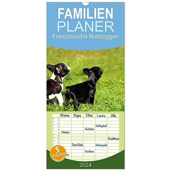 Familienplaner 2024 - Französische Bulldoggen mit 5 Spalten (Wandkalender, 21 x 45 cm) CALVENDO, Heike Hultsch