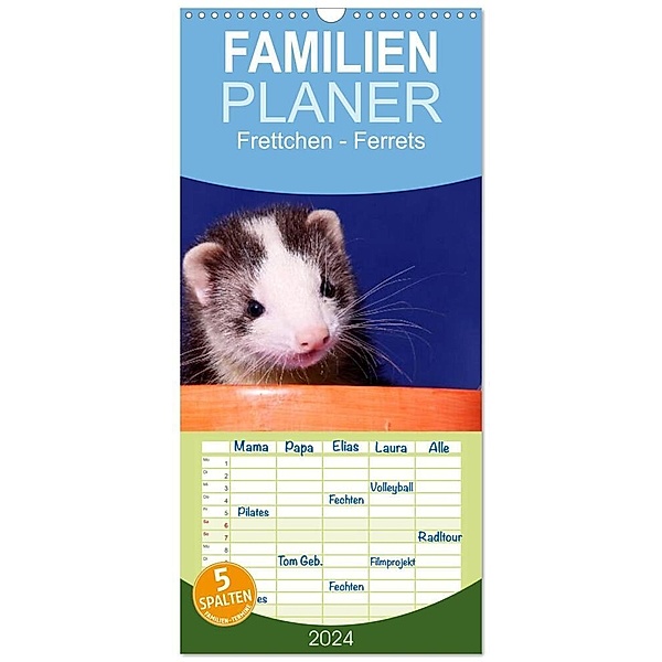 Familienplaner 2024 - Frettchen - Ferrets mit 5 Spalten (Wandkalender, 21 x 45 cm) CALVENDO, Jeanette Hutfluss