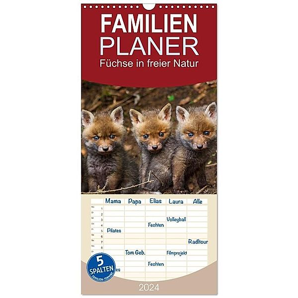 Familienplaner 2024 - Füchse in freier Natur mit 5 Spalten (Wandkalender, 21 x 45 cm) CALVENDO, Ulrich Hopp