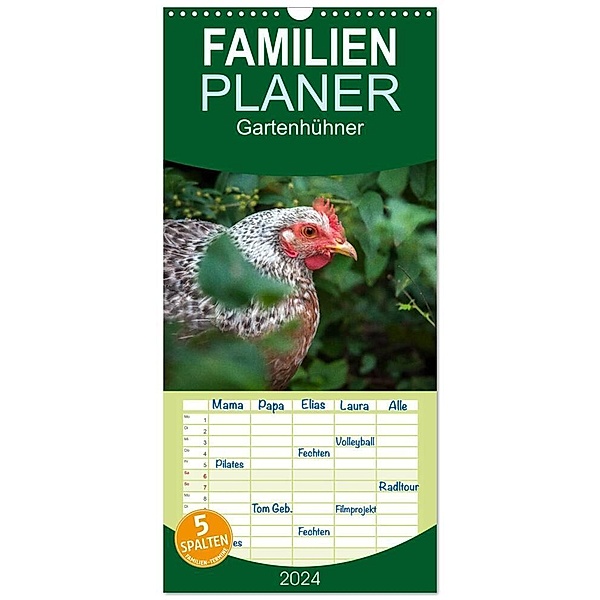 Familienplaner 2024 - Gartenhühner mit 5 Spalten (Wandkalender, 21 x 45 cm) CALVENDO, Britta Ohm