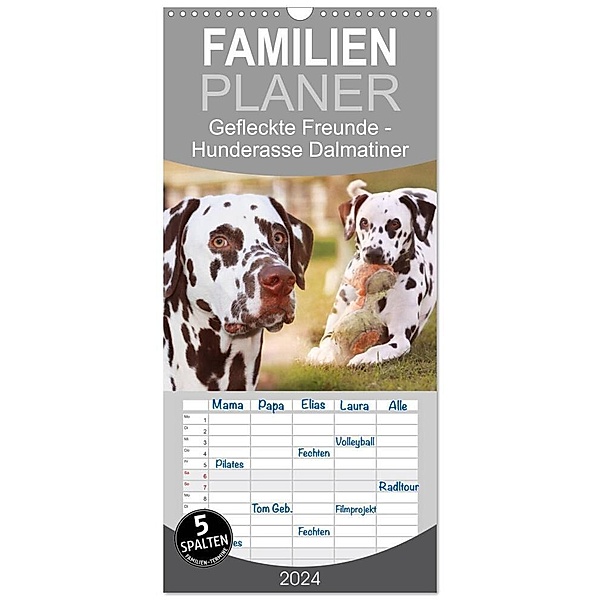 Familienplaner 2024 - Gefleckte Freunde - Hunderasse Dalmatiner mit 5 Spalten (Wandkalender, 21 x 45 cm) CALVENDO, Barbara Mielewczyk
