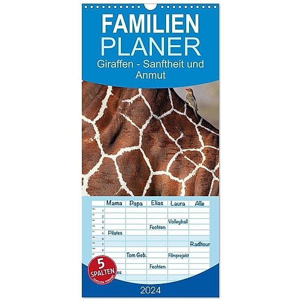 Familienplaner 2024 - Giraffen - Sanftheit und Anmut mit 5 Spalten (Wandkalender, 21 x 45 cm) CALVENDO, Michael Herzog