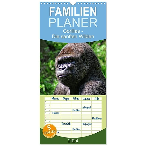 Familienplaner 2024 - Gorillas - Die sanften Wilden mit 5 Spalten (Wandkalender, 21 x 45 cm) CALVENDO, Peter Hebgen