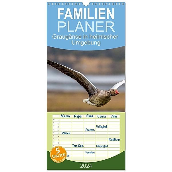 Familienplaner 2024 - Graugänse in heimischer Umgebung mit 5 Spalten (Wandkalender, 21 x 45 cm) CALVENDO, Dieter Wilczek