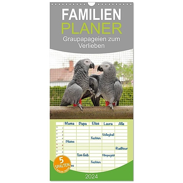 Familienplaner 2024 - Graupapageien zum Verlieben mit 5 Spalten (Wandkalender, 21 x 45 cm) CALVENDO, Nadine Keller