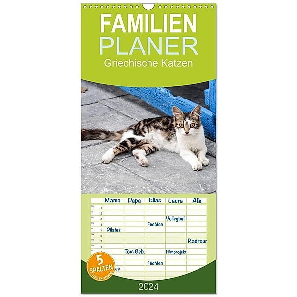 Familienplaner 2024 - Griechische Katzen mit 5 Spalten (Wandkalender, 21 x 45 cm) CALVENDO, Christine Lumplecker