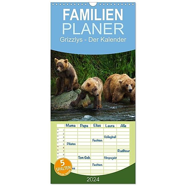 Familienplaner 2024 - Grizzlys - Der Kalender mit 5 Spalten (Wandkalender, 21 x 45 cm) CALVENDO, Max Steinwald