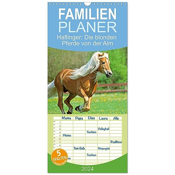 Familienplaner 2024 - Haflinger: Die blonden Pferde von der Alm mit 5 Spalten (Wandkalender, 21 x 45 cm) CALVENDO, Calvendo