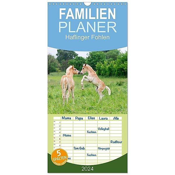 Familienplaner 2024 - Haflinger Fohlen mit 5 Spalten (Wandkalender, 21 x 45 cm) CALVENDO, Katho Menden