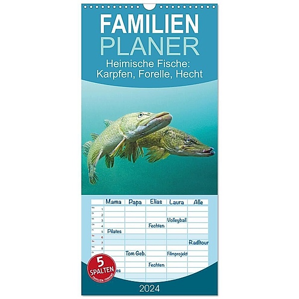 Familienplaner 2024 - Heimische Fische: Karpfen, Forelle, Hecht mit 5 Spalten (Wandkalender, 21 x 45 cm) CALVENDO, Calvendo