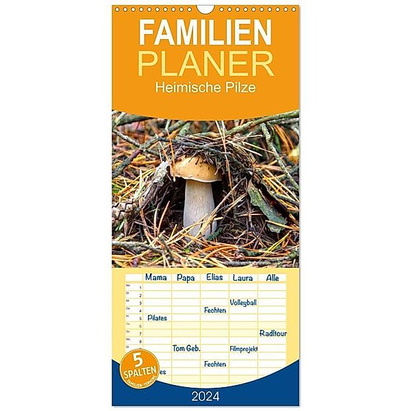 Familienplaner 2024 - Heimische Pilze mit 5 Spalten (Wandkalender, 21 x 45 cm) CALVENDO, LianeM