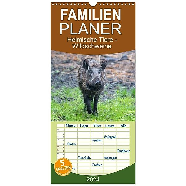 Familienplaner 2024 - Heimische Tiere - Wildschweine mit 5 Spalten (Wandkalender, 21 x 45 cm) CALVENDO, pixs:sell