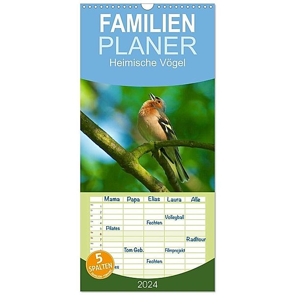 Familienplaner 2024 - Heimische Vögel mit 5 Spalten (Wandkalender, 21 x 45 cm) CALVENDO, Ralf Mooß