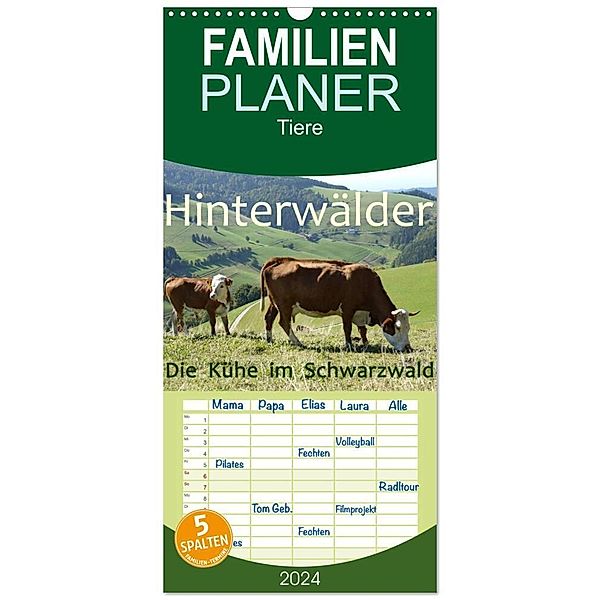 Familienplaner 2024 - Hinterwälder - Die Kühe aus dem Schwarzwald mit 5 Spalten (Wandkalender, 21 x 45 cm) CALVENDO, Stefanie Goldscheider