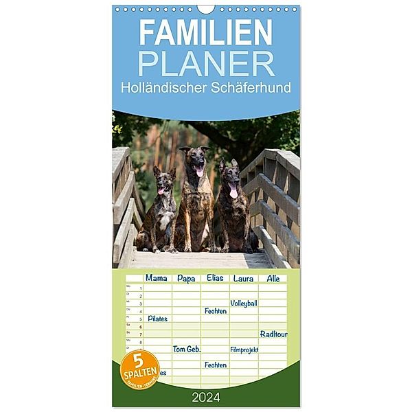 Familienplaner 2024 - Holländischer Schäferhund mit 5 Spalten (Wandkalender, 21 x 45 cm) CALVENDO, Fotodesign Verena Scholze