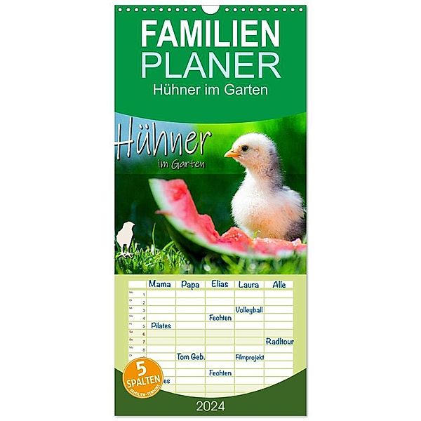 Familienplaner 2024 - Hühner im Garten mit 5 Spalten (Wandkalender, 21 x 45 cm) CALVENDO, Fotografie Zabel