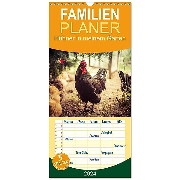 Familienplaner 2024 - Hühner in meinem Garten mit 5 Spalten (Wandkalender, 21 x 45 cm) CALVENDO, Manuela Meyer