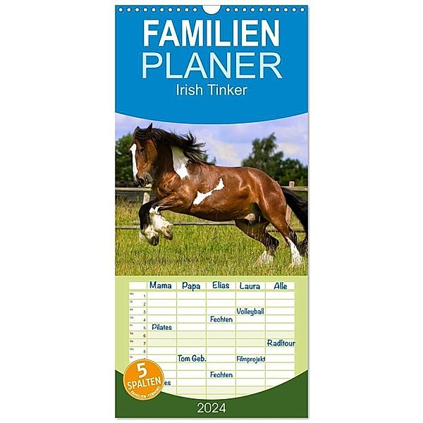 Familienplaner 2024 - Irish Tinker mit 5 Spalten (Wandkalender, 21 x 45 cm) CALVENDO, Gabriela Wejat-Zaretzke