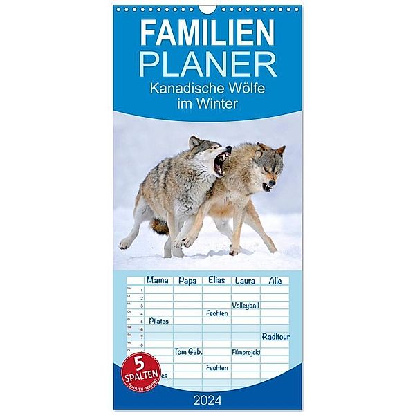 Familienplaner 2024 - Kanadische Wölfe im Winter mit 5 Spalten (Wandkalender, 21 x 45 cm) CALVENDO, Michael Weber