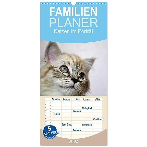 Familienplaner 2024 - Katzen im Porträt / Geburtstagskalender mit 5 Spalten (Wandkalender, 21 x 45 cm) CALVENDO, Jennifer Chrystal