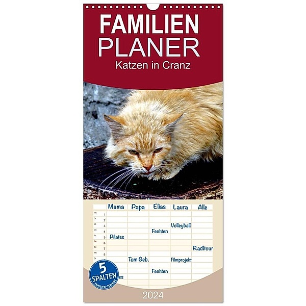 Familienplaner 2024 - Katzen in Cranz mit 5 Spalten (Wandkalender, 21 x 45 cm) CALVENDO, Henning von Löwis of Menar