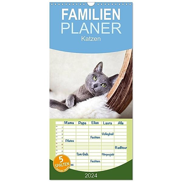 Familienplaner 2024 - Katzen mit 5 Spalten (Wandkalender, 21 x 45 cm) CALVENDO, Nailia Schwarz
